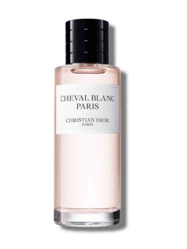 christian dior blemish treatment paris|dior cheval blanc premier.